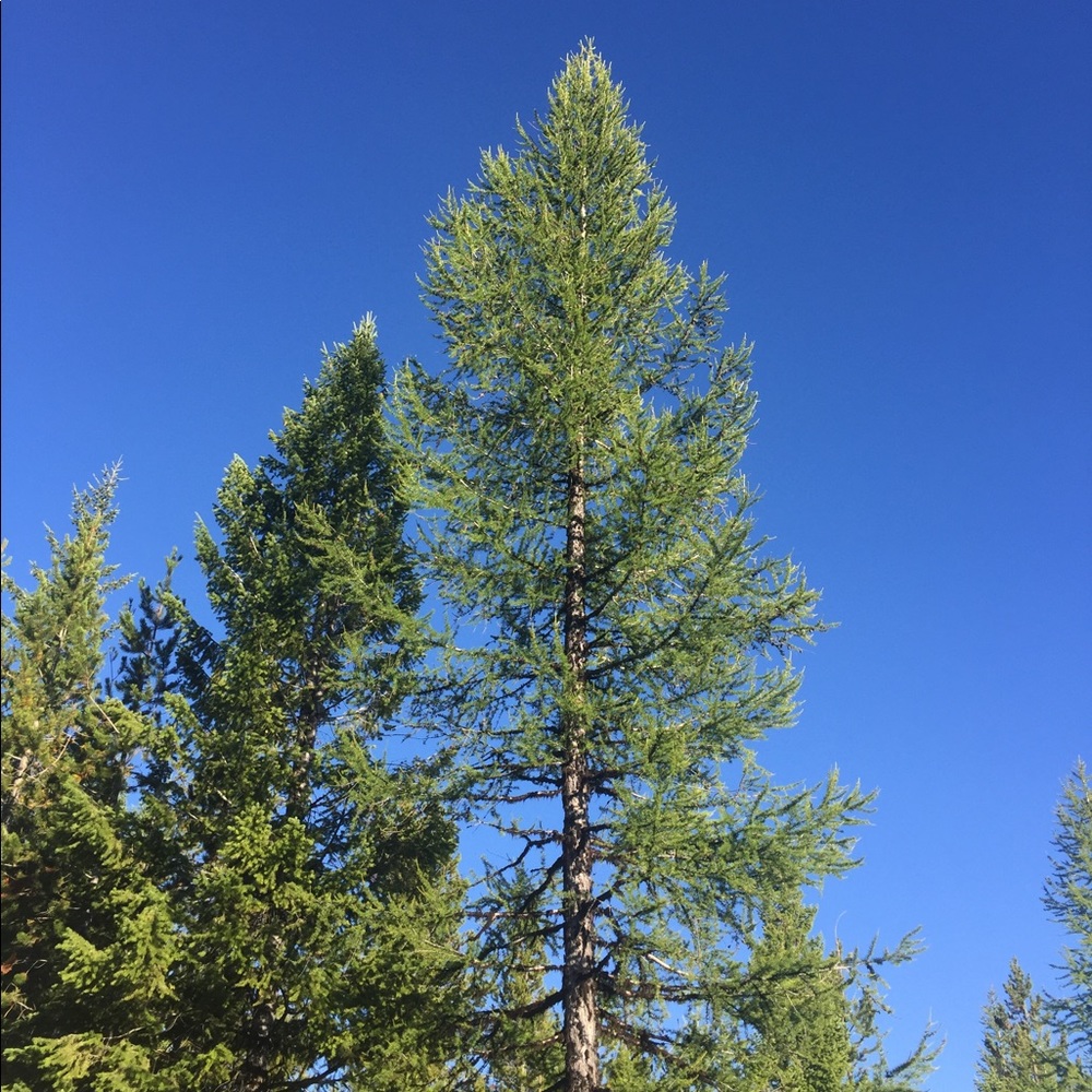 Meet your Posher, Andrea.